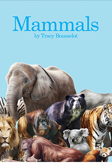 Big Book Mammals
