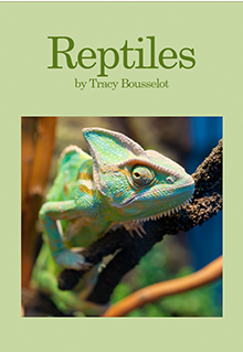 Big Book Reptiles